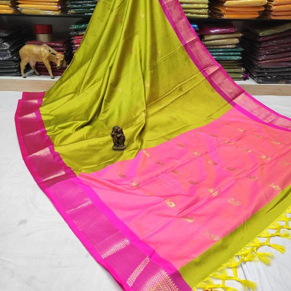 Divya Saxena